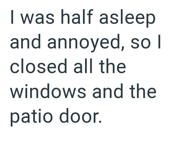 I was half asleep and annoyed, so I closed all the windows and the patio door.