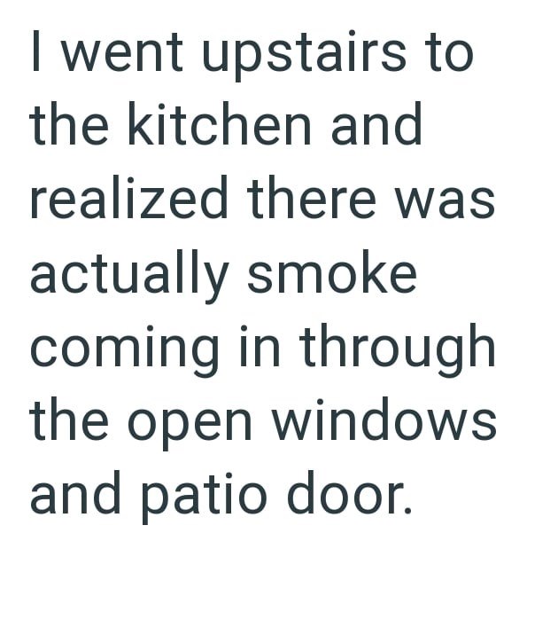 went upstairs to the kitchen and realized there was actually smoke coming in through the open windows and patio door.