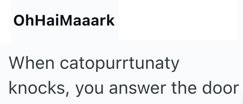 OhHaiMaaark When catopurrtunaty knocks, you answer the door