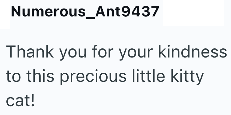 Numerous_Ant9437 Thank you for your kindness. to this precious little kitty cat!