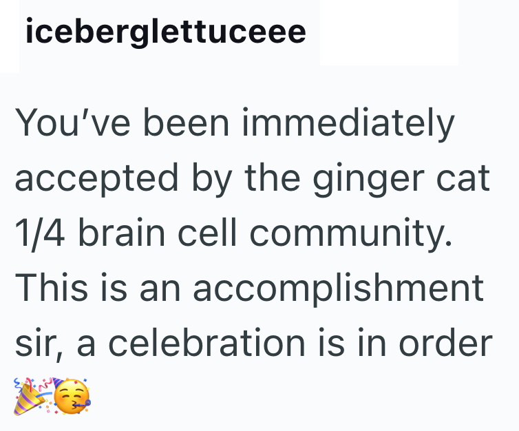 iceberglettuceee You've been immediately accepted by the ginger cat 1/4 brain cell community. This is an accomplishment sir, a celebration is in order