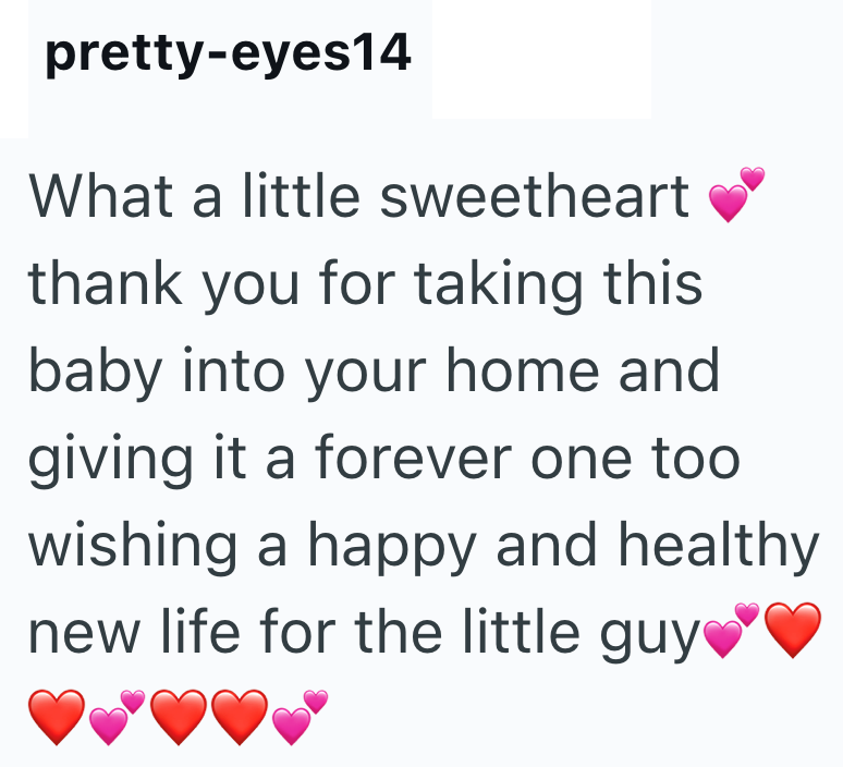 pretty-eyes14 What a little sweetheart thank you for taking this baby into your home and giving it a forever one too wishing a happy and healthy new life for the little guy