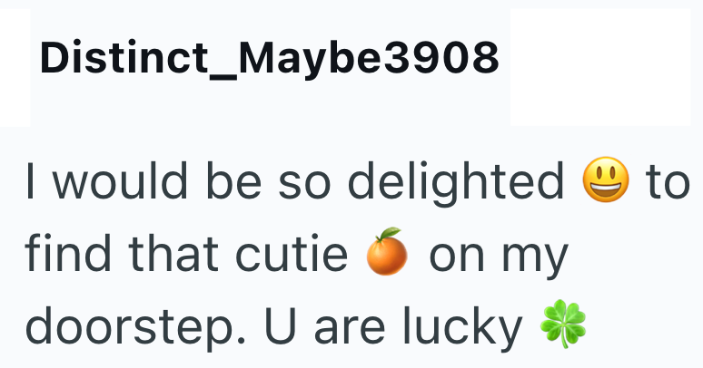 Distinct_Maybe3908 I would be so delighted find that cutie to on my doorstep. U are lucky