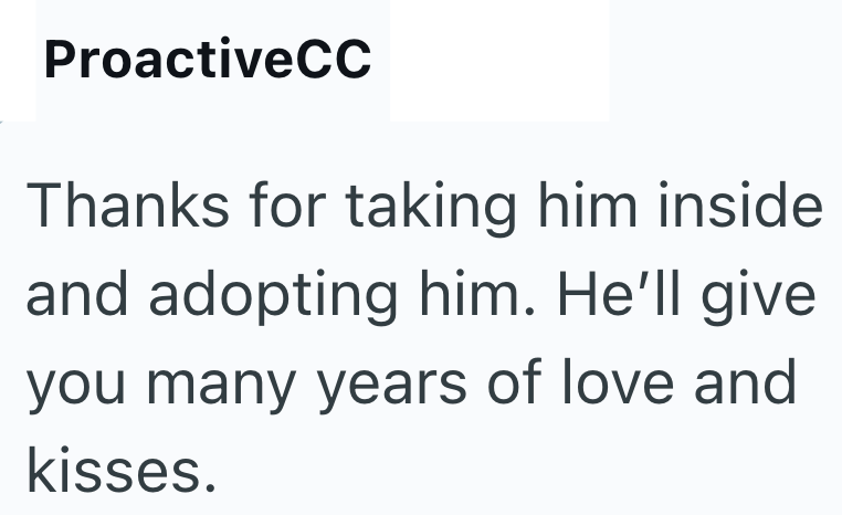 ProactiveCC Thanks for taking him inside and adopting him. He'll give you many years of love and kisses.