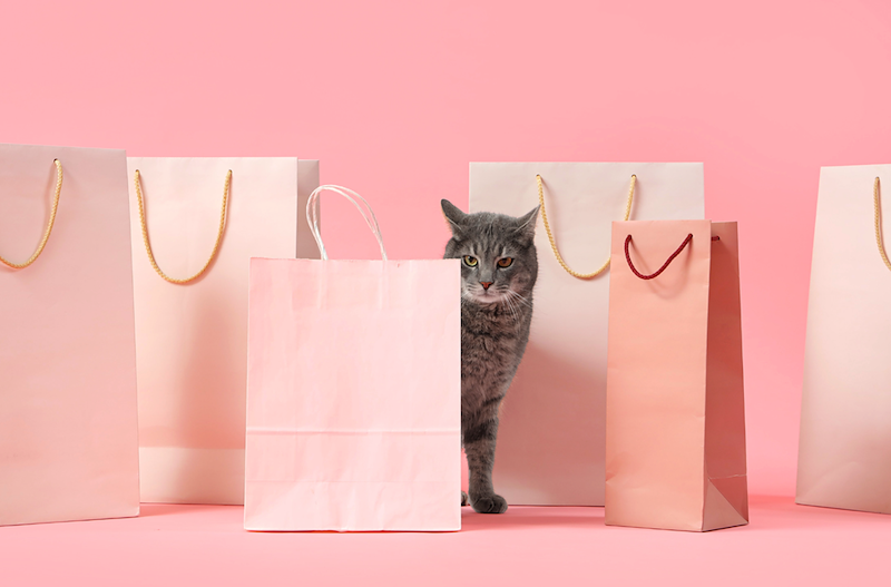 Cat goes to the pet store for a haul.