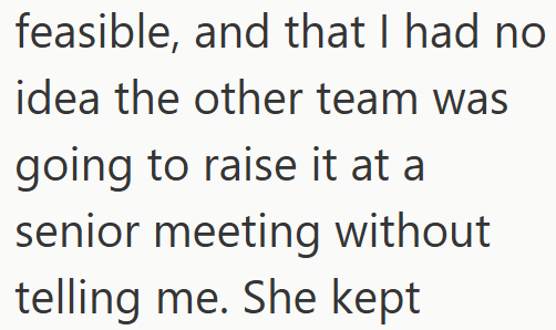 feasible, and that I had no idea the other team was going to raise it at a senior meeting without telling me. She kept