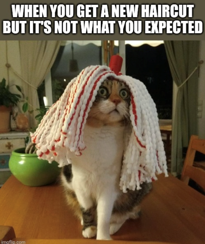 WHEN YOU GET A NEW HAIRCUT BUT IT'S NOT WHAT YOU EXPECTED imgflip.com