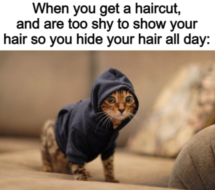 When you get a haircut, and are too shy to show your hair so you hide your hair all day: