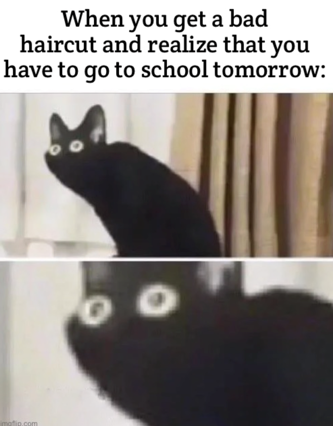 When you get a bad haircut and realize that you have to go to school tomorrow: imgflip.com