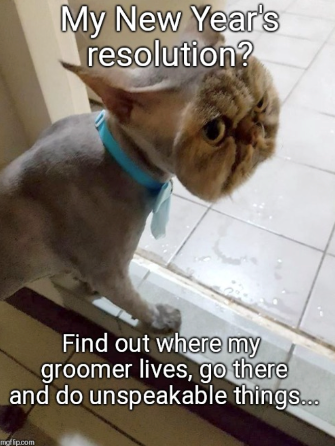 My New Year's resolution? Find out where my groomer lives, go there and do unspeakable things... mgflip.com