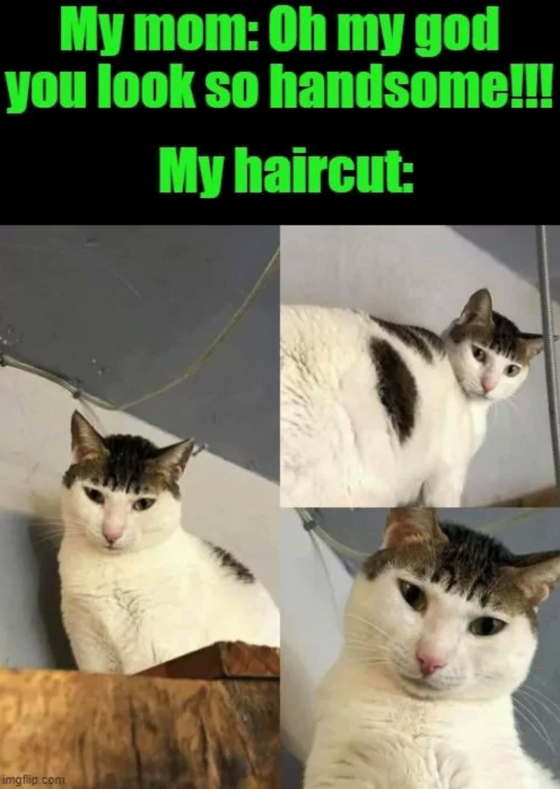 My mom: Oh my god handsome!!! you look so My haircut: imgflip.com