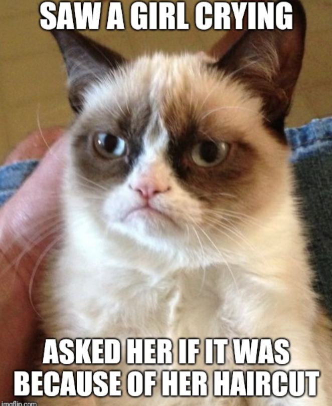 SAW A GIRL CRYING ASKED HER IF IT WAS BECAUSE OF HER HAIRCUT imgflip.com