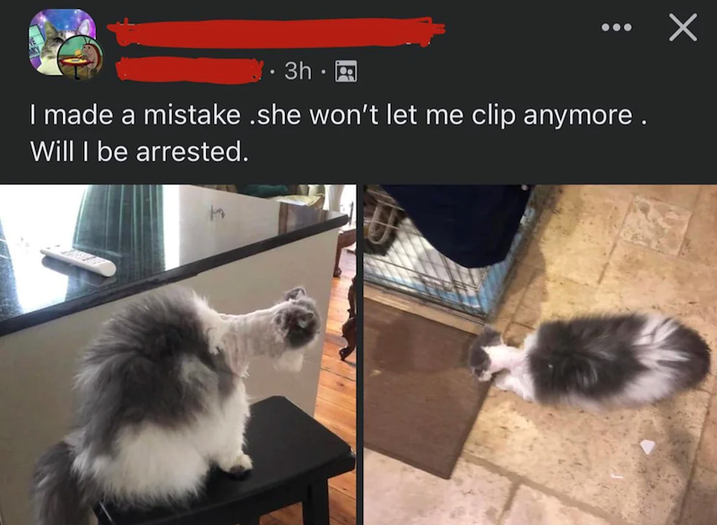 3h. I made a mistake .she won't let me clip anymore. Will I be arrested.