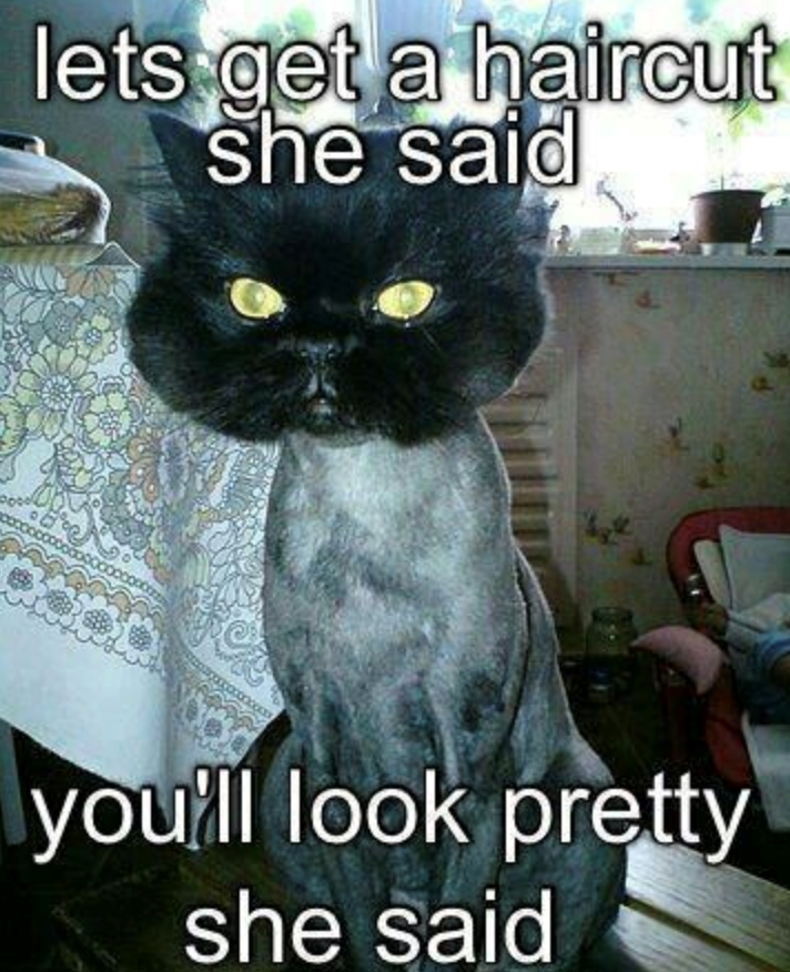 lets get a haircut she said you'll look pretty she said