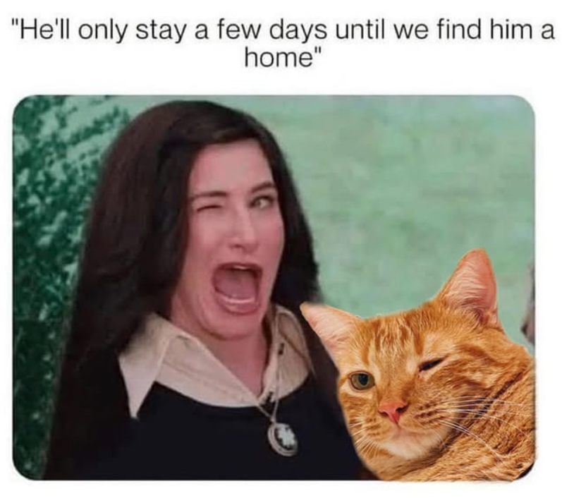 "He'll only stay a few days until we find him at home"
