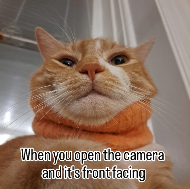 When you open the camera and it's front facing