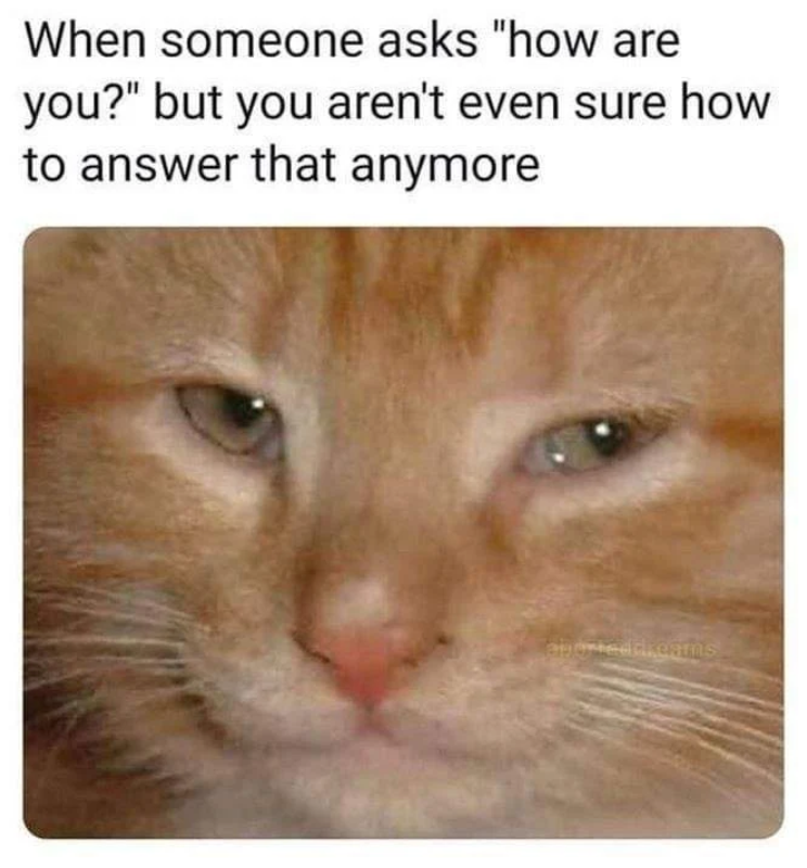 When someone asks "how are you?" but you aren't even sure how to answer that anymore eported dreams