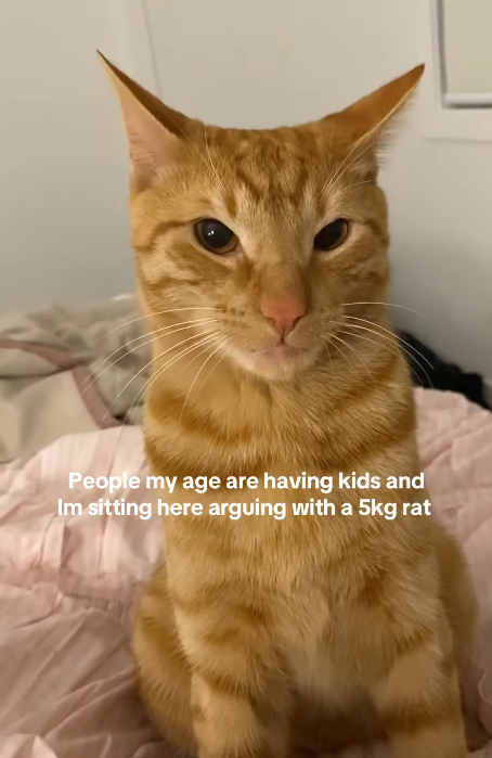 People my age are having kids and Im sitting here arguing with a 5kg rat