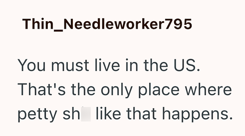 Thin_Needleworker795 You must live in the US. That's the only place where petty sh like that happens.