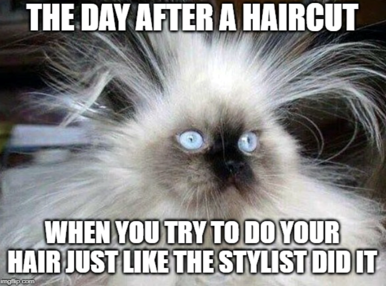 THE DAY AFTER A HAIRCUT WHEN YOU TRY TO DO YOUR HAIR JUST LIKE THE STYLIST DID IT imgflip.com