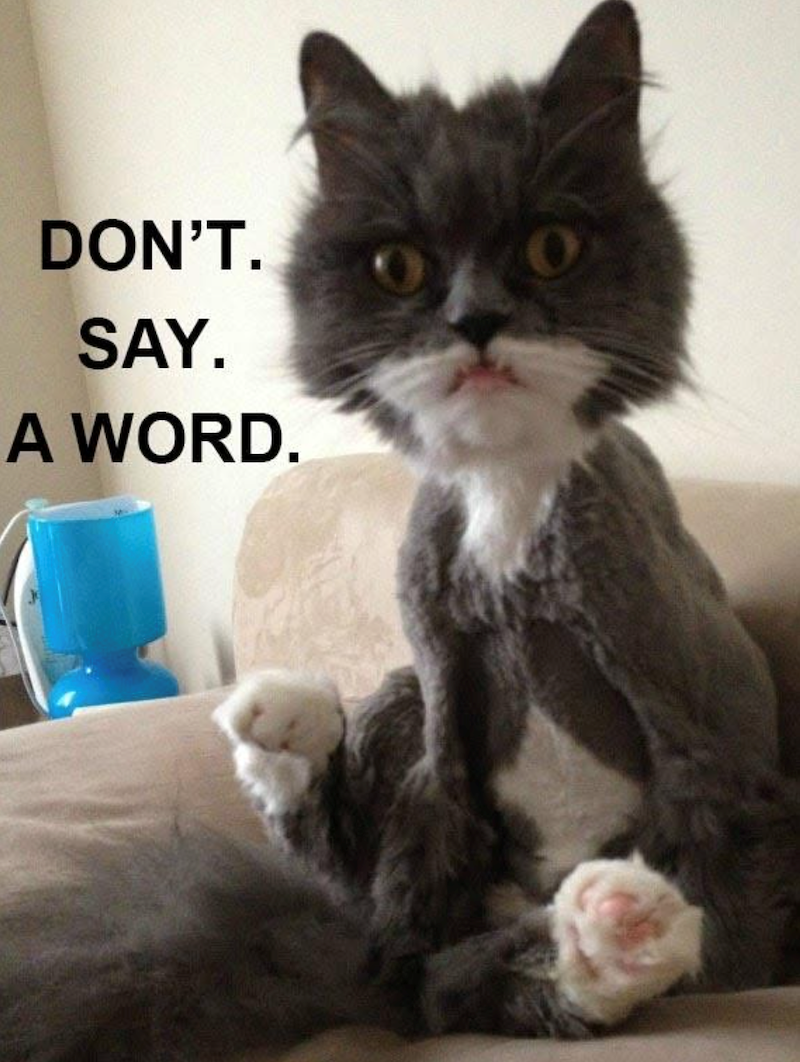 DON'T. SAY. A WORD.