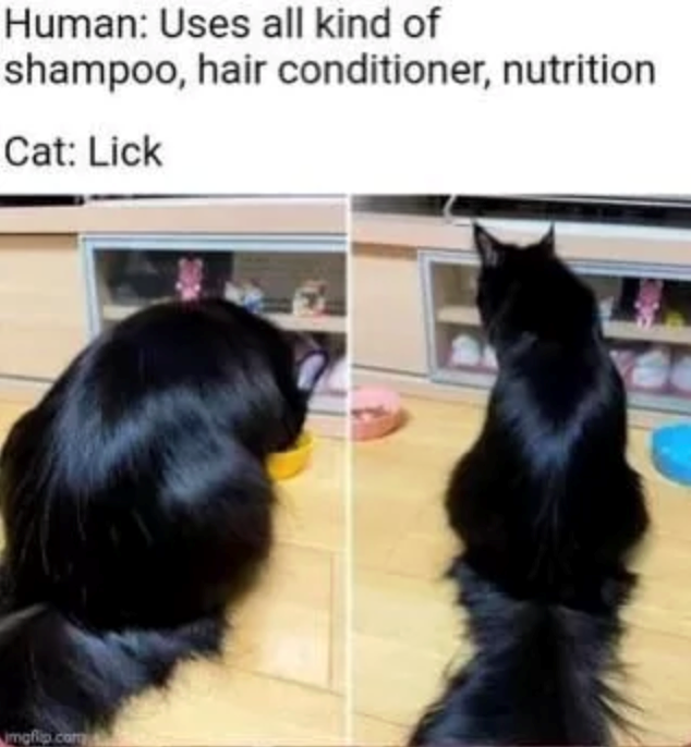 Human: Uses all kind of shampoo, hair conditioner, nutrition Cat: Lick imgflip.com