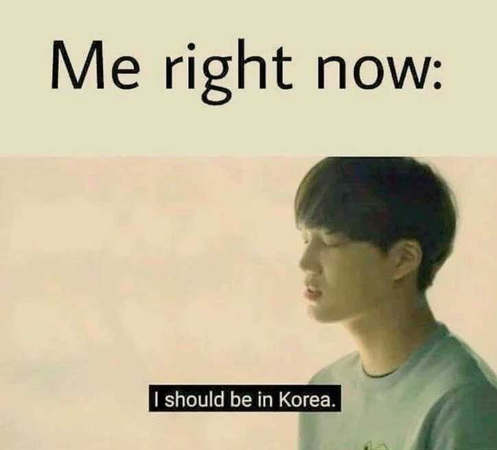 Me right now: I should be in Korea.