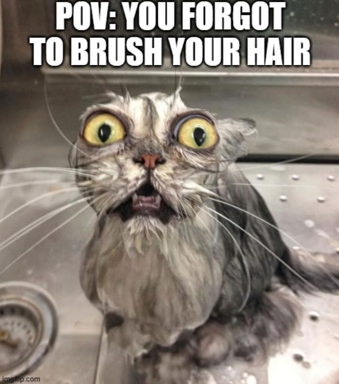 POV: YOU FORGOT TO BRUSH YOUR HAIR imgflip.com