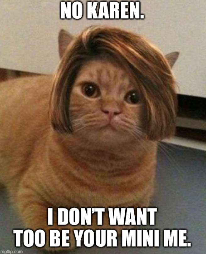 NO KAREN. I DON'T WANT TOO BE YOUR MINI ME. imgflip.com