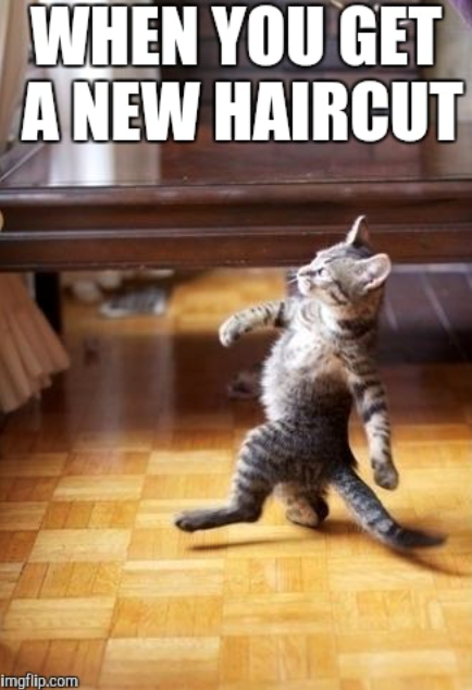 WHEN YOU GET A NEW HAIRCUT imgflip.com