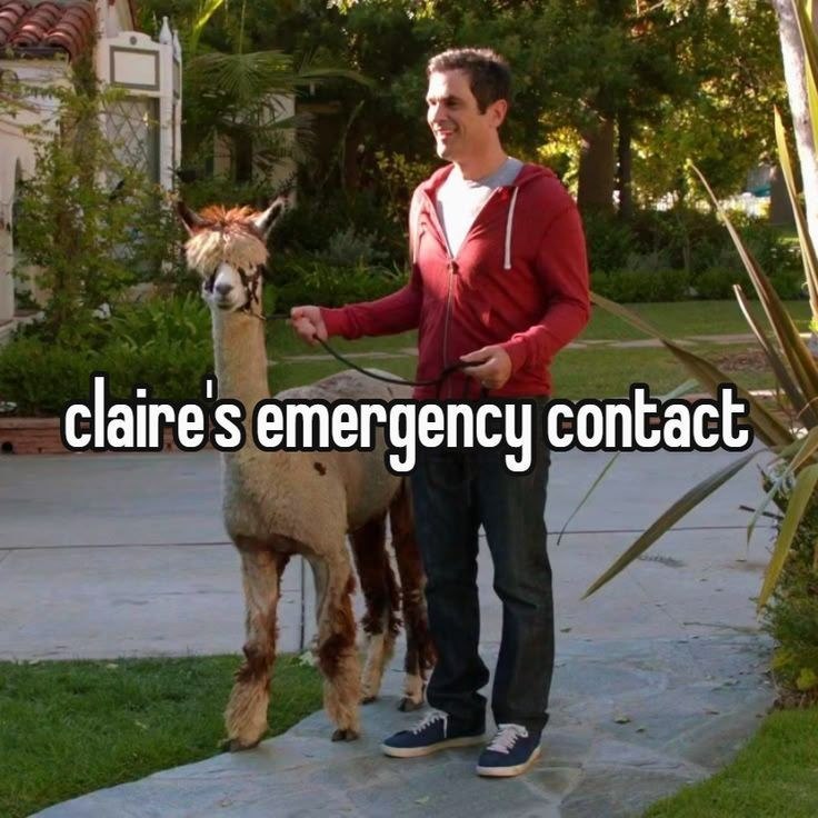claire's emergency contact