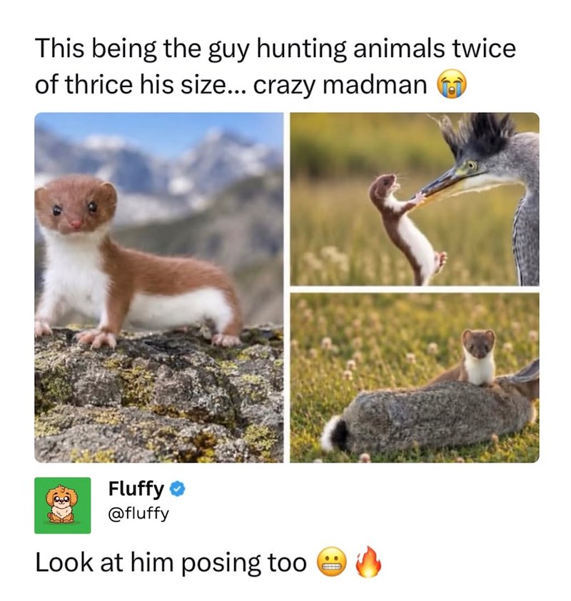 This being the guy hunting animals twice of thrice his size... crazy madman Fluffy @fluffy Look at him posing too