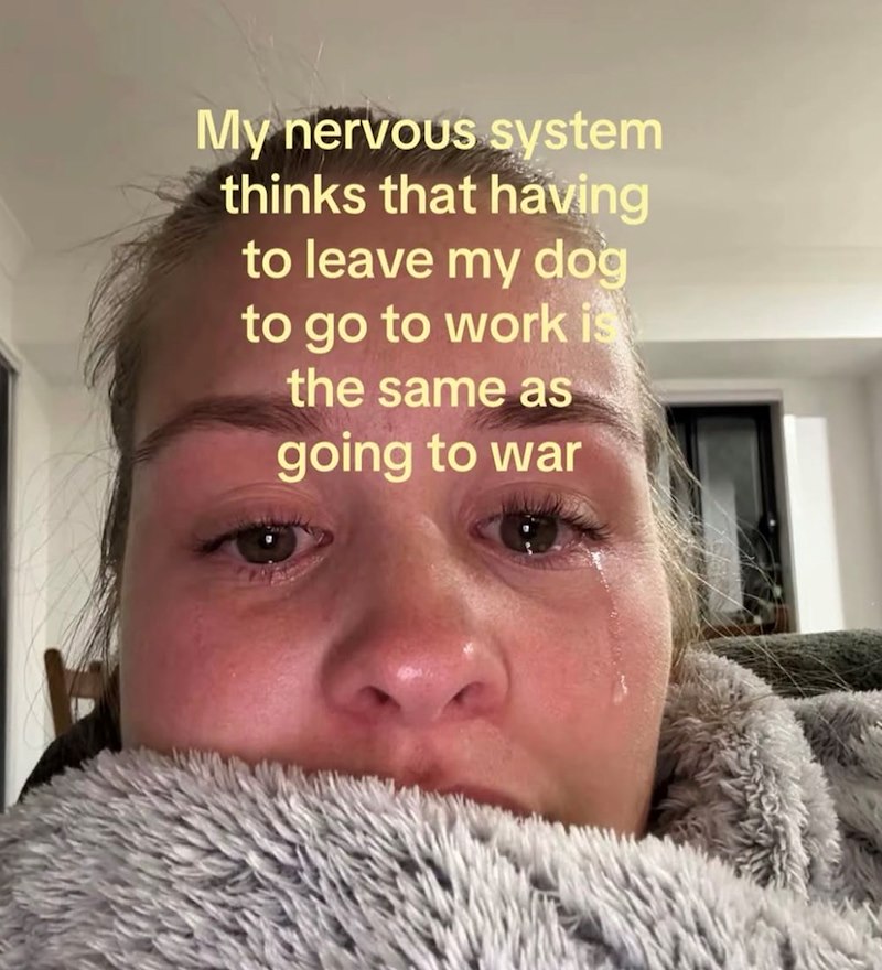 My nervous system thinks that having to leave my dog to go to work is the same as going to war