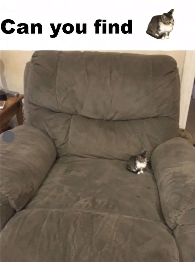 Can you find