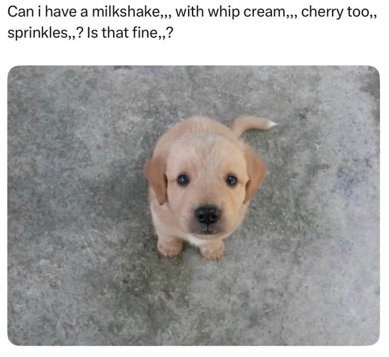Can i have a milkshake,,, with whip cream,,, cherry too,, sprinkles,,? Is that fine,,?
