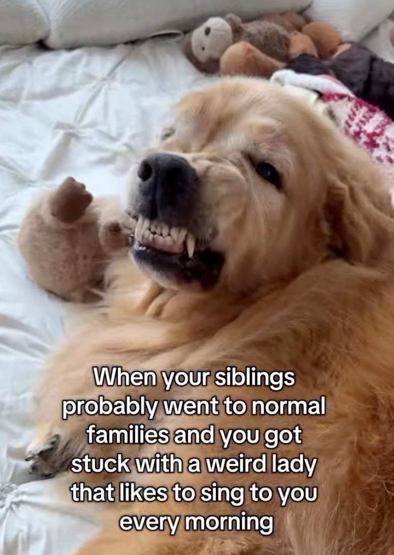 When your siblings probably went to normal families and you got stuck with a weird lady that likes to sing to you every morning