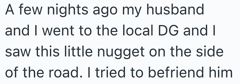A few nights ago my husband and I went to the local DG and I saw this little nugget on the side of the road. I tried to befriend him
