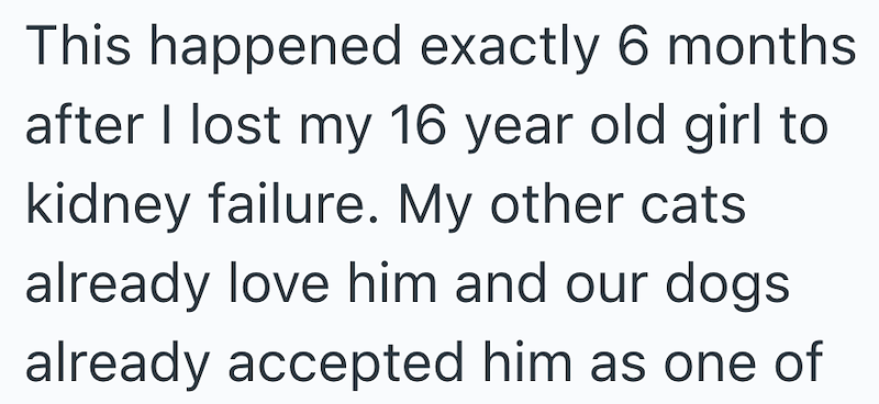 This happened exactly 6 months after I lost my 16 year old girl to kidney failure. My other cats already love him and our dogs already accepted him as one of
