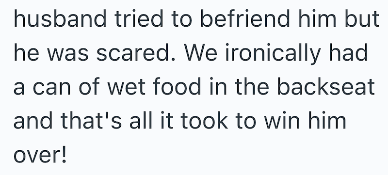 husband tried to befriend him but he was scared. We ironically had a can of wet food in the backseat and that's all it took to win him over!