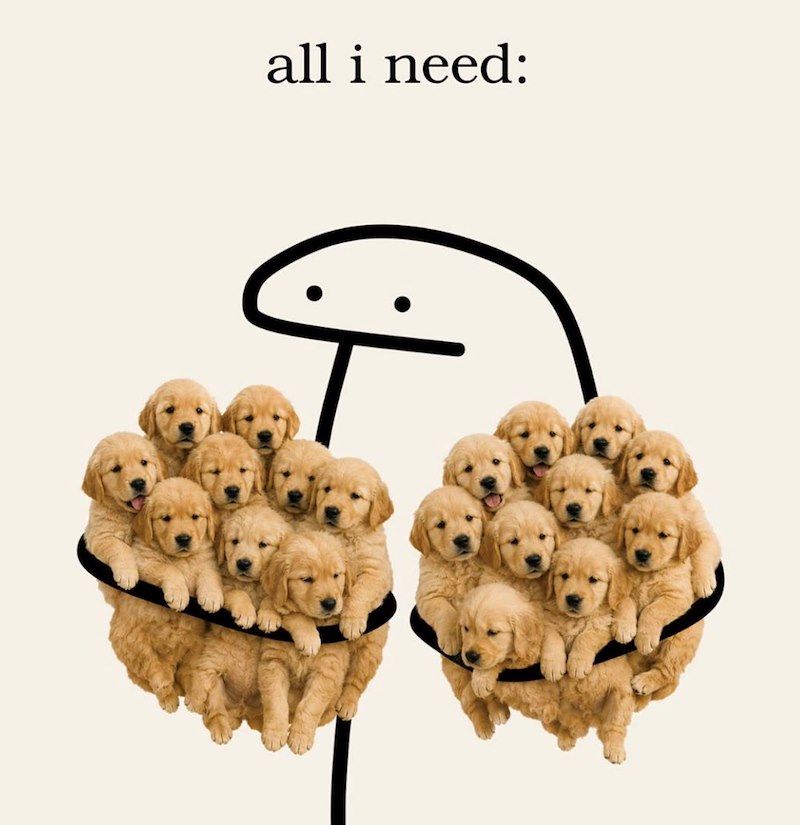 all i need: