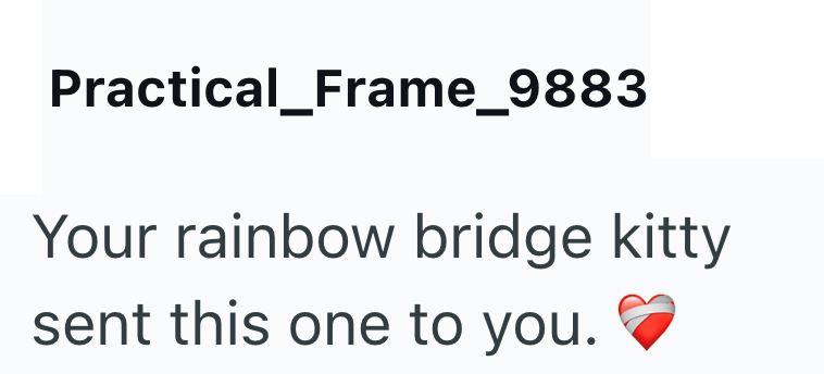 Practical_Frame_9883 Your rainbow bridge kitty sent this one to you.