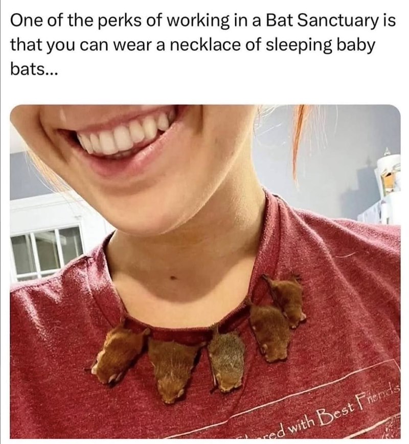One of the perks of working in a Bat Sanctuary is that you can wear a necklace of sleeping baby bats... red with Best Friends