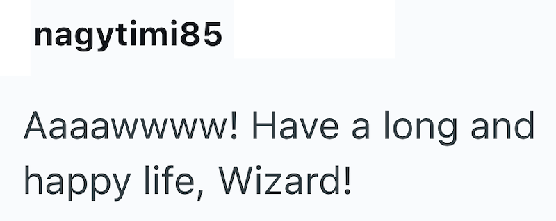 nagytimi85 Aaaawwww! Have a long and happy life, Wizard!