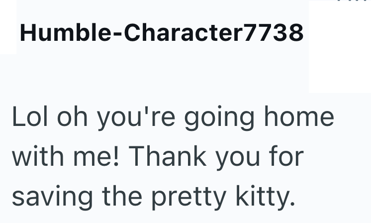 Humble-Character7738 Lol oh you're going home. with me! Thank you for saving the pretty kitty.