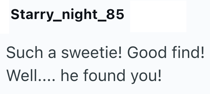 Starry_night_85 Such a sweetie! Good find! Well.... he found you!