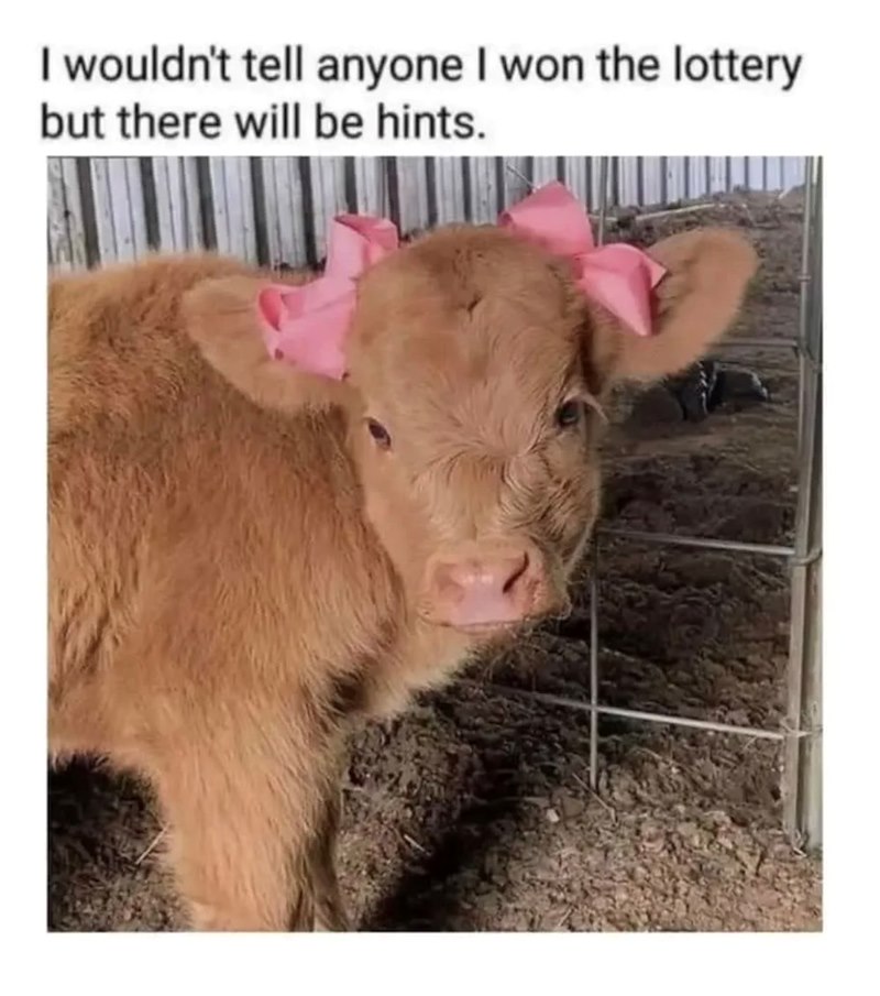I wouldn't tell anyone I won the lottery but there will be hints.