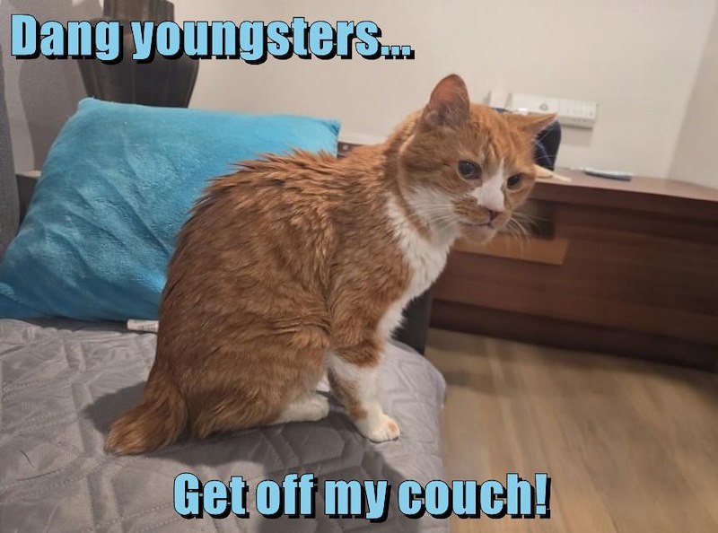 Dang youngsters... Get off my couch!