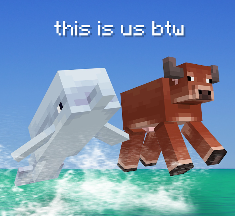 this is us btw