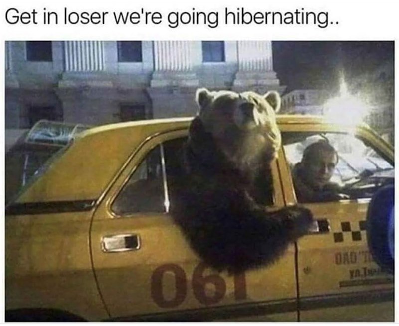 Get in loser we're going hibernating.. 061 OAD TE YA,T