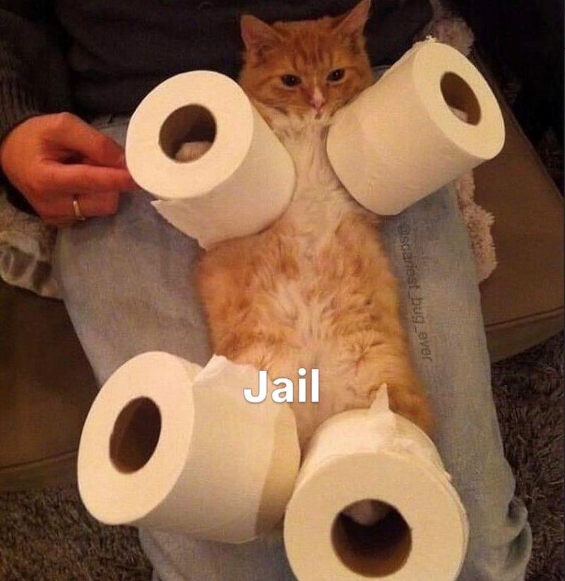@scariest bug ever Jail